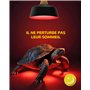 GlowUp E27 Reptile Ampoules Chauffantes 50W, Dimmable Rétro Éclairage Infrarouge Lampe De Chaleur Ampoule Spot Basking Pour Drag