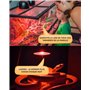 GlowUp E27 Reptile Ampoules Chauffantes 50W, Dimmable Rétro Éclairage Infrarouge Lampe De Chaleur Ampoule Spot Basking Pour Drag