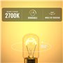 BrightWish Ampoule E14 T22-42W (40, watts) - 2700K Blanc Chaud - Dimmable - Résistante à 300°C - Pour Four, Réfrigérateur et Lam