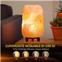BrightWish Ampoule E14 T22-42W (40, watts) - 2700K Blanc Chaud - Dimmable - Résistante à 300°C - Pour Four, Réfrigérateur et Lam