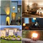 DoRight 100W R7s Ampoule Halogène 118mm Dimmable Blanc Chaud 2800K J118 Projecteur AC 220-240V Halogène Linéaire 1500lm Angle de