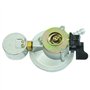 Dapetz ® Détendeur de gaz butane à clipser avec jauge 30 mbar compatible avec Calor Flogas 21 mm caravane camping-car pour boute