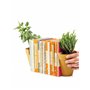 SUCK UK Pots de Fleurs Serre-Livres