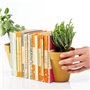 SUCK UK Pots de Fleurs Serre-Livres