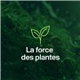 Torchons en Coton uni 100% Coton de TowelsRus, idéals pour l’Impression par Transfert, Le Polissage et l’Utilisation Autour de l