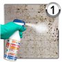 Dryzone Kit d'Élimination et de Prévention des Moisissures (3 x 450 ml sprays) - Solution définitive à long terme contre les Moi