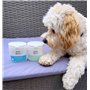 Lingettes dentaires à l'huile de Menthe Verte pour Chiens et Chats Élimine la Plaque Dentaire et Le tartre, Soin des gencives et