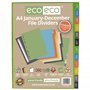 eco-eco Intercalaires A4 50% recyclés janvier à décembre