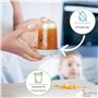Budding Bear Petit Pot Conservation Bébé Verre 240ml (Lot de 6) - Pot Bebe Repas Réutilisables Compatible Lave-Vaisselle, Congél