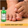 Tea Tree Eucalyptus Gel Douche pour Homme - Soin du Corps aux Huiles Essentielles Naturel Made In U.K Soin de la peau Arbre a Th