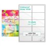 Evergreen Goods 10 Feuilles A4 En Vinyle (PVC) Multi-Usages Blanc Brillant Prédécoupé éTiquettes Autocollantes | Imperméables St