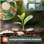 HAAGO 50 Assiettes de Canne à Sucre Jetables (26cm) - Grandes Assiettes pour Fêtes - Solide, Rigide & Étanche - Ecologique et Co