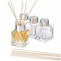 MATANA 10 Bouteilles Diffuseur en Verre Vides avec 40 Bâtonnets de Parfum - Diffuseur Parfum Bouteilles, Flacon Diffuseur Parfum