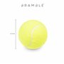BRAMBLE 15 Balles de Tennis avec Sac de Transport pour Sport, Entraînement & Jeu - Solide