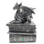 G&H Decor - Boîte à bijoux Dragon de 21 cm - Statue de dragon avec compartiment secret - Figurine fantaisie - Boîte à bijoux got
