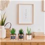 5 cm - Fausse Plante Cactu
