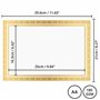 Belle Vous Papier Blanc A4 pour Diplome Personnalisé (Lot de 50) - Papier Imprimante A4 Blanc avec Bordure en Feuille d’Or - Com