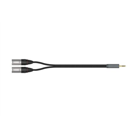 iFi Câble SE 4