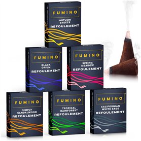 Encens Cone Refoulement Naturels Fumino Faits Maison Lot d’encens Essentiels de 6 boîtes 90 Cônes Backflow Masala Agarbatti Joss