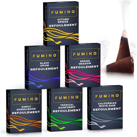Encens Cone Refoulement Naturels Fumino Faits Maison Lot d’encens Essentiels de 6 boîtes 90 Cônes Backflow Masala Agarbatti Joss