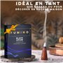 Encens Cone Refoulement Naturels Fumino Faits Maison Lot d’encens Essentiels de 6 boîtes 90 Cônes Backflow Masala Agarbatti Joss