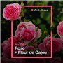 INEOS Lessive Liquide Concentrée, Un Nettoyage Imbattable Grâce Au Pouvoir Des Plantes, Adaptée Aux Peaux Sensibles, Efficace Dè