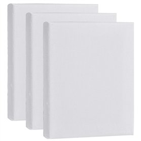 AvoDovA 15 * 20CM Blanche Toiles à Peindre Encadrées