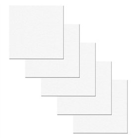 AvoDovA 5PCS Blanche Toiles à Peindre Encadrées