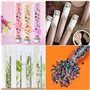 Kurtzy Tubes à Essai Plastique Transparent avec Bouchon à Vis et Brosse de Nettoyage (25 Pcs) 125 ml - Eprouvettes Réutilisables