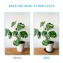 Vesaneae 6 Pièce Soucoupe Plante Plastique, 15cm Soucoupe Ronde en Plastique pour Pot de Fleur, Soucoupe pour Pot de Fleur, Plat