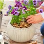 5 kg de Mini Pierres Décoratives - Gravier Decoratif pour Jardin