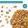 BELLE VOUS Gravier pour Aquarium Naturel Décoratif Marron - 3,5 kg de Mini Pierres Décoratives - Gravier Decoratif pour Jardin, 