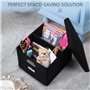 BELLE VOUS Lot de 2 Boîtes de Stockage de Dossiers - Boite de Rangement de Documents - Trieur pour Bureau ou Maison - Classeur d