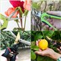 OdiuK Lot de 2 sécateurs de jardin SK5 en acier - Ciseaux à vignes tranchants - Multifonctions ergonomiques - Pour branches, fle