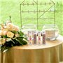 Chstarina Lot de 12 Tubes à Essai en Plastique, 110ml Éprouvette Transparente avec Bouchon à Vis, Tube Essai Plastique Réutilisa