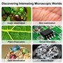 Colexy Microscope numérique USB, Microscope de Poche, grossissement 50X-1600X Portable, Microscope vtech pour Android (USB-C), i