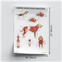 AnatomyStuff Lot de 2 affiches d'organes internes et d'anatomie musculaire canine, 45 x 60 cm, diagramme anatomique canin