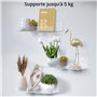 Winter Shore Etageres Murales en Acrylique Transparent 380 mm [Lot de 4] - Etagere Invisible Livres, Décoration, Plantes, Jouets