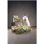 Flamingo Friandise Veggie pour Chien Bâton avec Ananas – 6 pièces de 12cm, 78g – Bâtonnet à l’Ananas Jaune | Snack Dentaire sans
