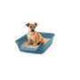 IBAÑEZ - Bac à litière Junior Bleu. 56 x 39 x 13 cm. pour Chat et Chiot. - VA-14540