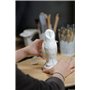 DARWI - DA0831000000C - Un Pain de Pâte à Modeler Naturelle - Malléable - séchage à l'air libre - Blanc - 1 KG - Prête à l'emplo
