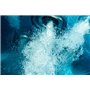 BSI - PooLSan - Solution sans Chlore - pour Une Désinfection Totale des Spa - Jusqu'à 4 A 6 Mois - Elaboré en Europe