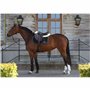 Kentucky Horsewear Tapis de selle Absorb avec logo Kentucky, couleur : noir