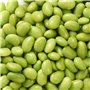 Germes de soja (verts), Graines prêt à Pousser Minigarden, 100% Naturelles sans Propagateurs Chimiques ni Génie Génétique, inclu