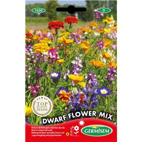 Germisem Dwarf Graines de Mélange de Fleurs 8 g EC1650 Multicolore