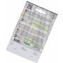 Germisem graines Carotte RAINBOW F1 MIX