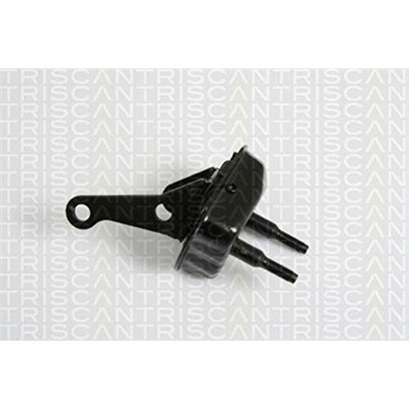 Triscan 8500 28533 Support de palier