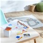 Learning Resources Cartes Photos pour Les Bases du vocabulaire