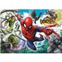 Un Héros Né Marvel Spiderman