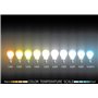 Lumière LED pour zones humides iP44 lumière froide réflecteur lampe de lumière de bain